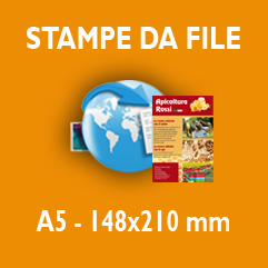 Invia il tuo file