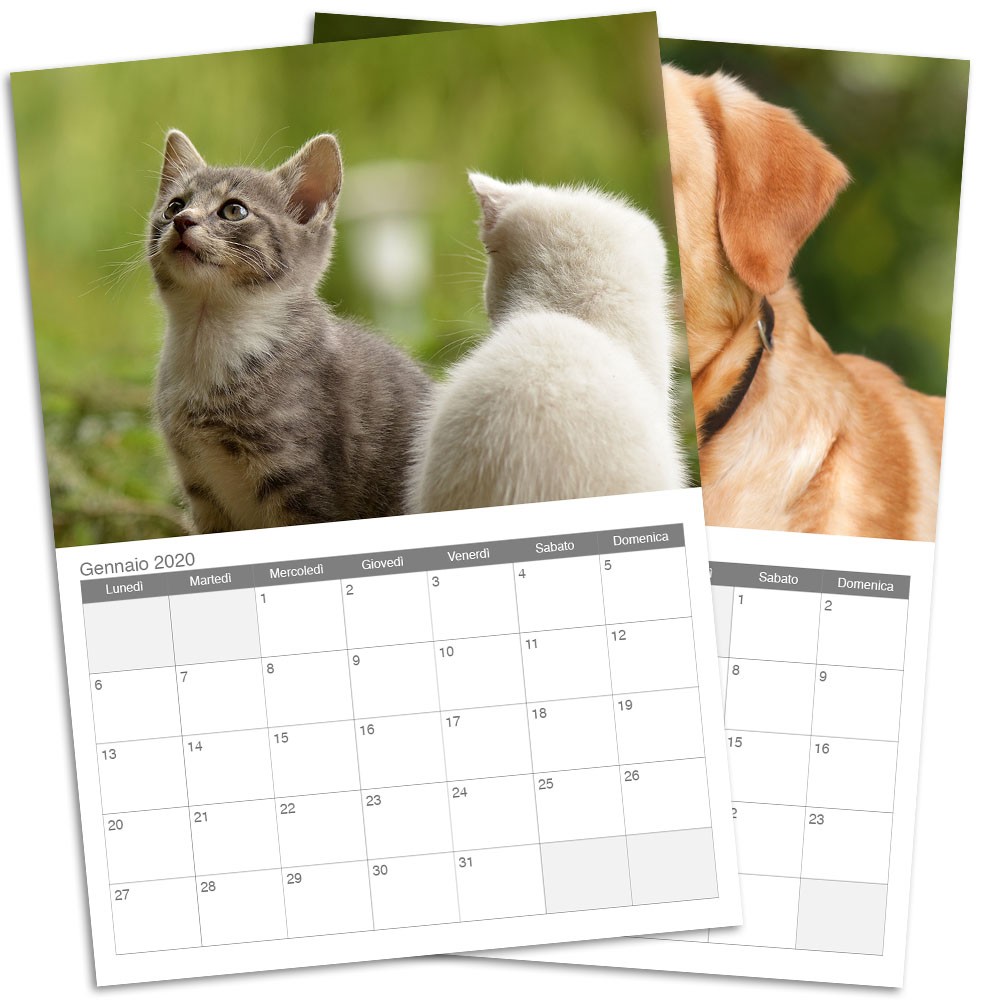 Calendario multipagina 12 mesi A3