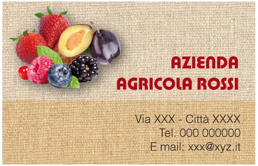 Art. 592 - Biglietto da visita 85x55 mm