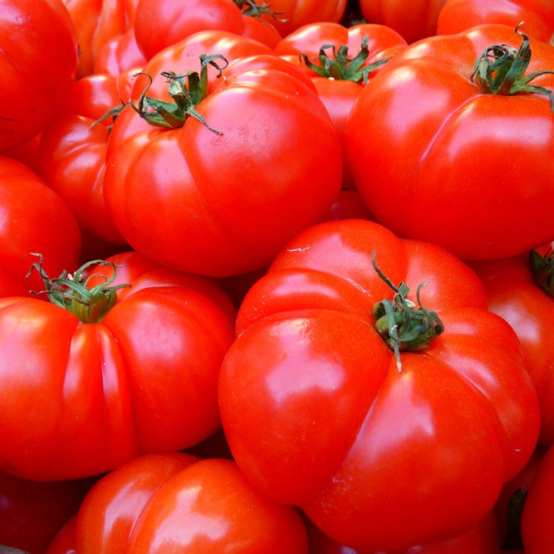 Art. 2062q - Quadro su tela canvas lucida "Pomodori"