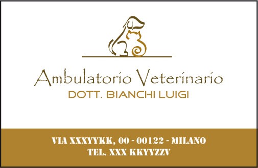 Fronte