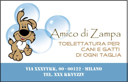 Fronte