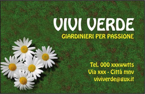 Fronte