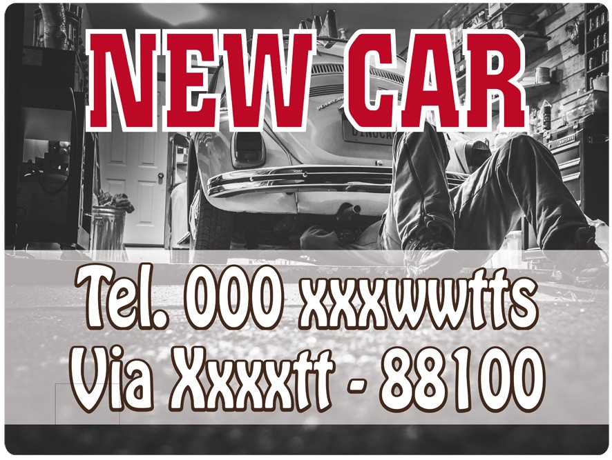 Art. 2175/1 - Targa magnetica per auto 40x30 cm