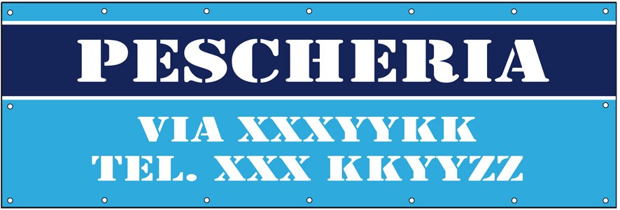 Art. 2216/2 - Striscione 300x100 cm