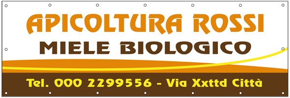Art. 509/2 - Striscione 300x100 cm