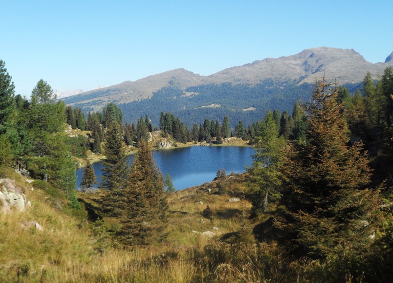 Art. 1730 - Quadro su tela canvas lucida "Lago di Colbricon"