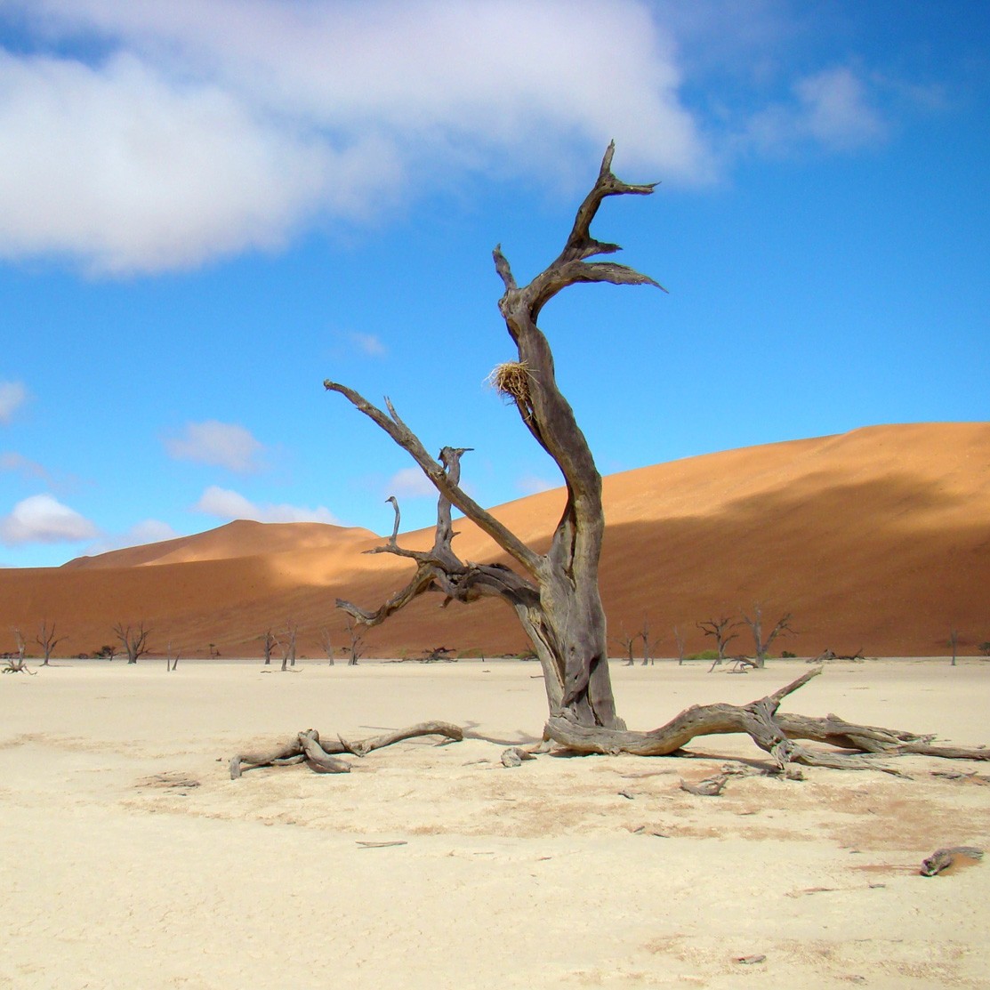Art. 745q - Quadro in plexiglass stampa brillante "Deserto"