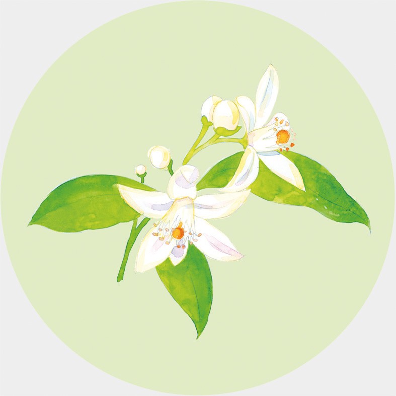 Art. 759t - Quadro in plexiglass stampa brillante "Fiori d'arancio"