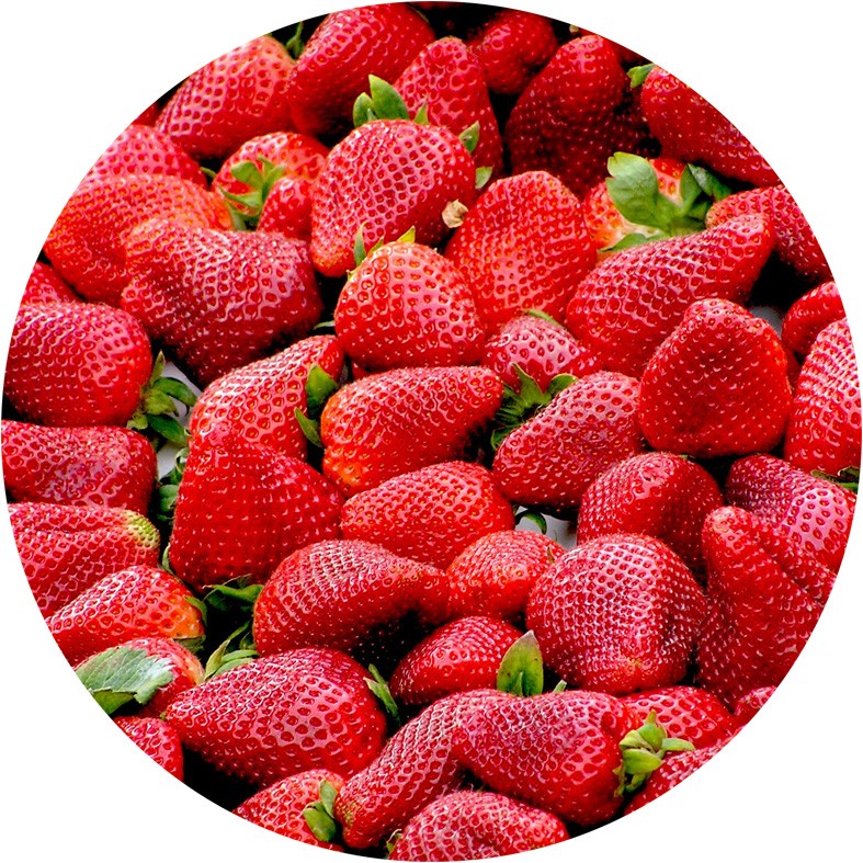 Art. 874t - Quadro in plexiglass stampa brillante "Fragole"