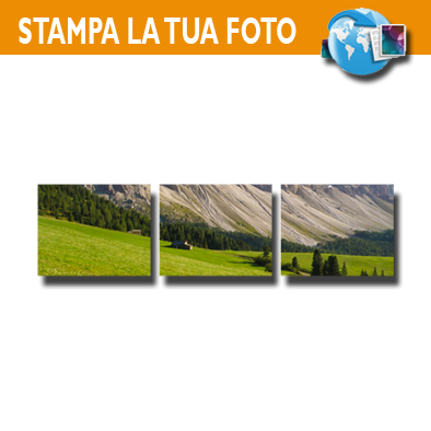 FORMATO 3 SETTORI - 20+20+20x30 cm