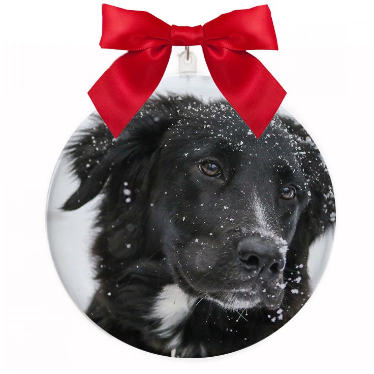 Palline di Natale Personalizzate con i tuoi Animali