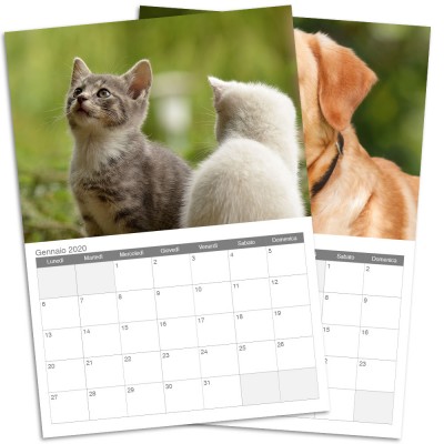Calendario multipagina 12 mesi A3