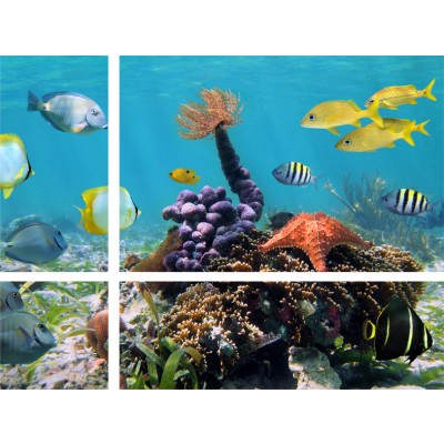 Art. 600 sfalsati - Quadro in plexiglass stampa brillante "Acquario"