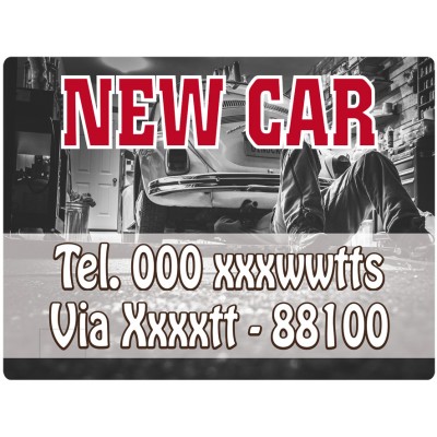 Art. 2175/1 - Targa magnetica per auto 40x30 cm