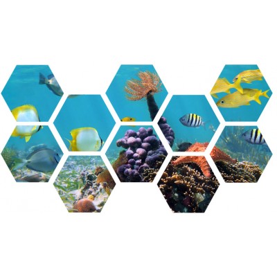 Art. 600e - Quadro in plexiglass stampa brillante "Acquario"