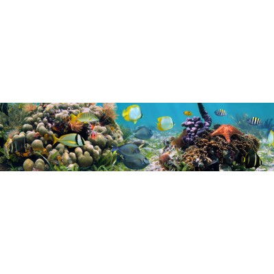 Art. 1600p - Quadro su tela canvas lucida "Acquario"