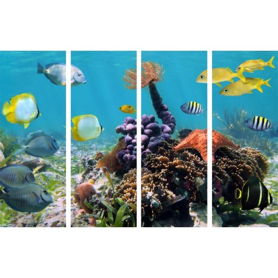 Art. 1600s - 4p Quadro su tela canvas lucida "Acquario"