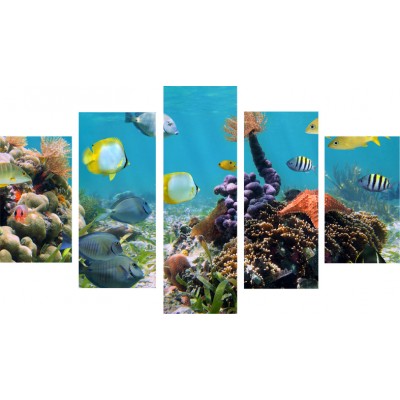 Art. 1600 sfalsati - Quadro su tela canvas lucida "Acquario"