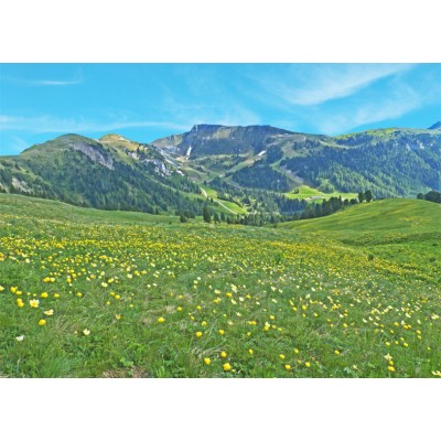 Art. 1604 - Quadro su tela canvas lucida "Latemar"