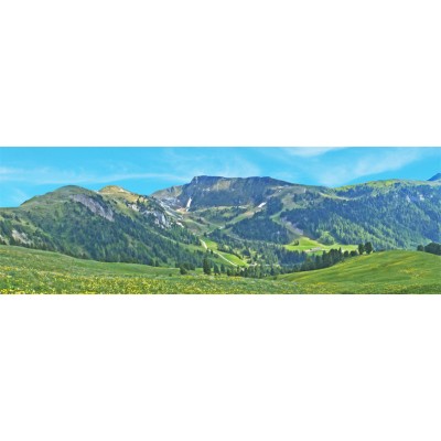 Art. 1604p - Quadro su tela canvas lucida "Latemar"
