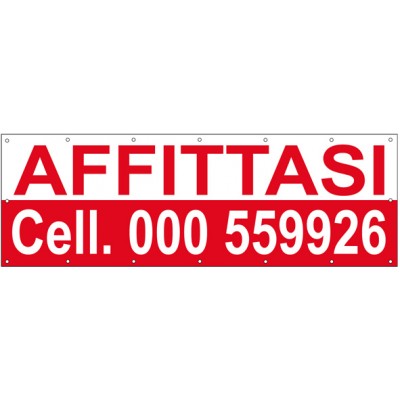 Art. 608/2 - Striscione 300x100 cm