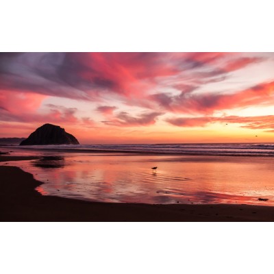 Art. 1624 - Quadro su tela canvas lucida "Tramonto"