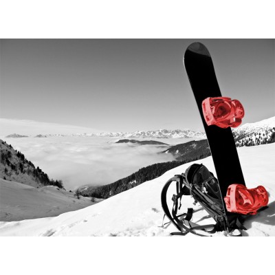 Art. 1634 - Quadro su tela canvas lucida "Snowboard"