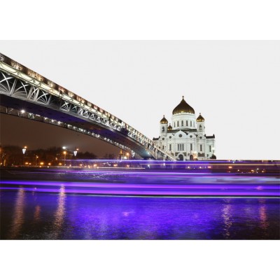 Art. 649x - Quadro in plexiglass stampa brillante "India"