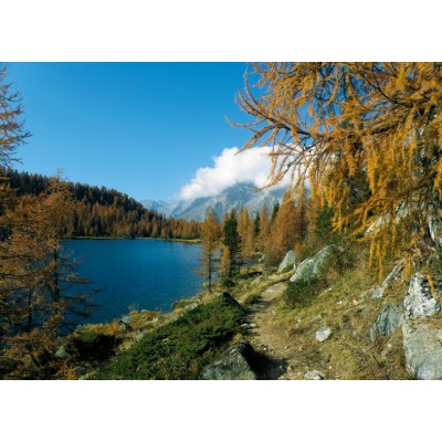 Art. 670 - Quadro in plexiglass stampa brillante "Dolomiti - Lago di Garzonè"