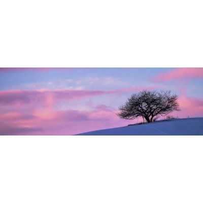 Art. 691p - Quadro in plexiglass stampa brillante