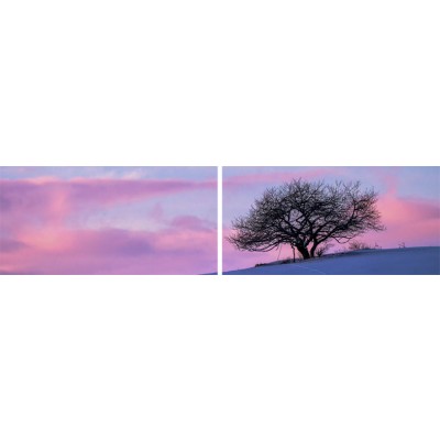 Art. 1691s - 2p Quadro su tela canvas lucida