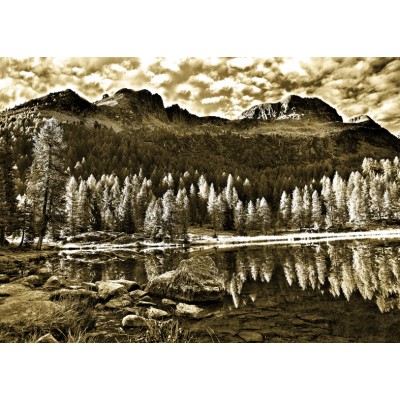 Art. 696 - Quadro in plexiglass stampa brillante "Passo San Pellegrino"