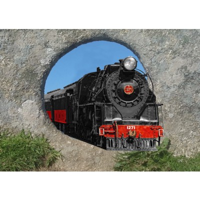 Art. 1703 - Quadro su tela canvas lucida