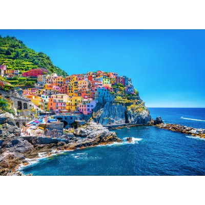 Art. 1708 - Quadro su tela canvas lucida "Manarola" Cinque Terre