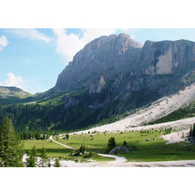 Art. 1734 - Quadro su tela canvas lucida "Val Venegia"
