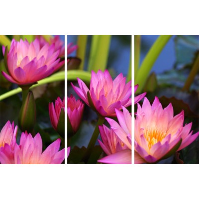 Art. 1738s - 3p Quadro su tela canvas lucida "Ninfee"