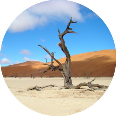 Art. 745t - Quadro in plexiglass stampa brillante "Deserto"