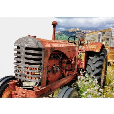 Art. 746x - Quadro in plexiglass stampa brillante