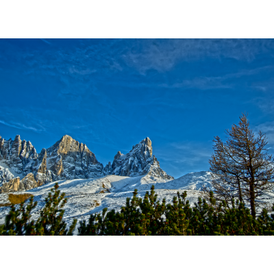 Art. 1754 - Quadro su tela canvas lucida "Pale di San Martino"