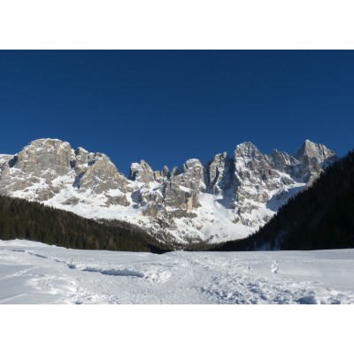 Art. 1757 - Quadro su tela canvas lucida "Val Venegia"