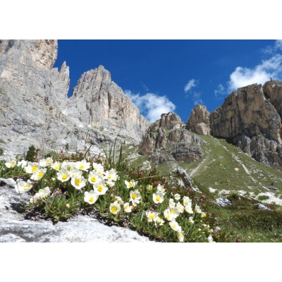 Art. 1758 - Quadro su tela canvas lucida "Rifugio Preus nel gruppo del Catinaccio"