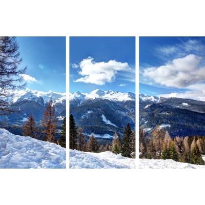 Art. 1761s - 3p Quadro su tela canvas lucida "Passo Lusia"