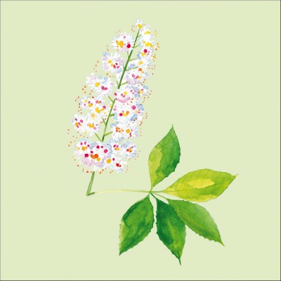 Art. 1763q - Quadro su tela canvas lucida "Fiori di castagno"