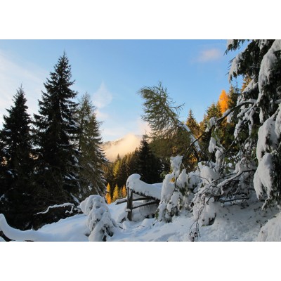 Art. 1774 - Quadro su tela canvas lucida "Nevicata"