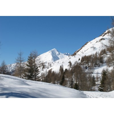 Art. 1791 - Quadro su tela canvas lucida "Serot 1860 m"
