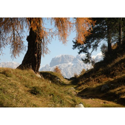 Art. 1811 - Quadro su tela canvas lucida