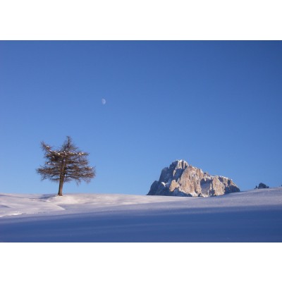 Art. 845 - Quadro in plexiglass stampa brillante "Alpe di Siusi"