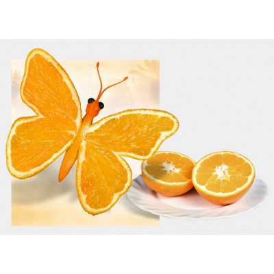 Art. 851x - Quadro in plexiglass stampa brillante "Farfalla"