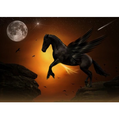 Art. 1865 - Quadro su tela canvas lucida "Pegaso"